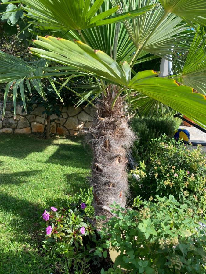 Villa Androcec Zgaljic Exteriér fotografie